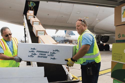 Voli Cargo Merci Deperibili